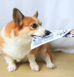 image-Pet Dog Sound Paper Newspaper Toy