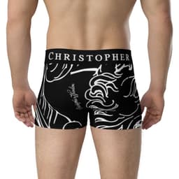 image-MOTORBIKE RIDER BRIEFS | UNDERWEAR | 004