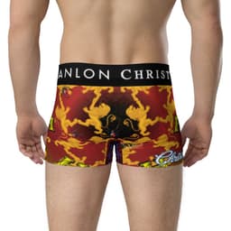 image-MOTORBIKE RIDER BRIEFS | UNDERWEAR | 023