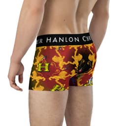 image-MOTORBIKE RIDER BRIEFS | UNDERWEAR | 023