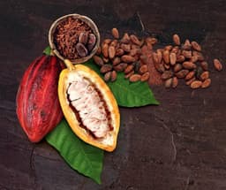 image-Cocoa Douwe Egberts Fantasy Instant Hot Chocolate Powder Drink