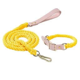 image-Luxe Royal Leather Rope Leash and Collar Set - Lemon Squeeze