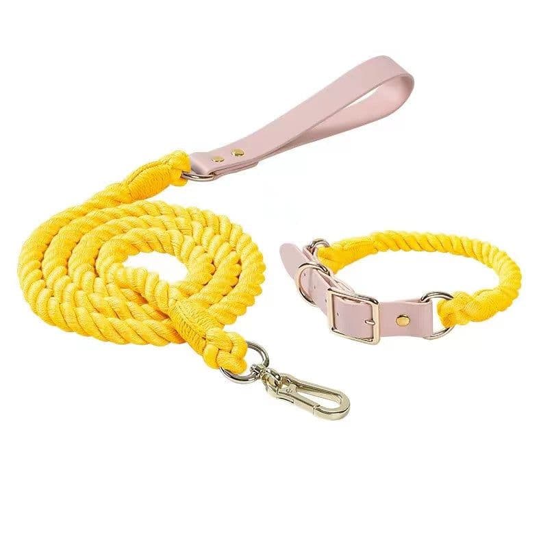 image-Luxe Royal Leather Rope Leash and Collar Set - Lemon Squeeze
