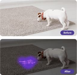 image-UV Flashlight LED Handheld Blacklight Flashlight Mini Light Torch Detector For Dog Pet Urine Stains Bed Bugs And Scorpions Batteries Not Included
