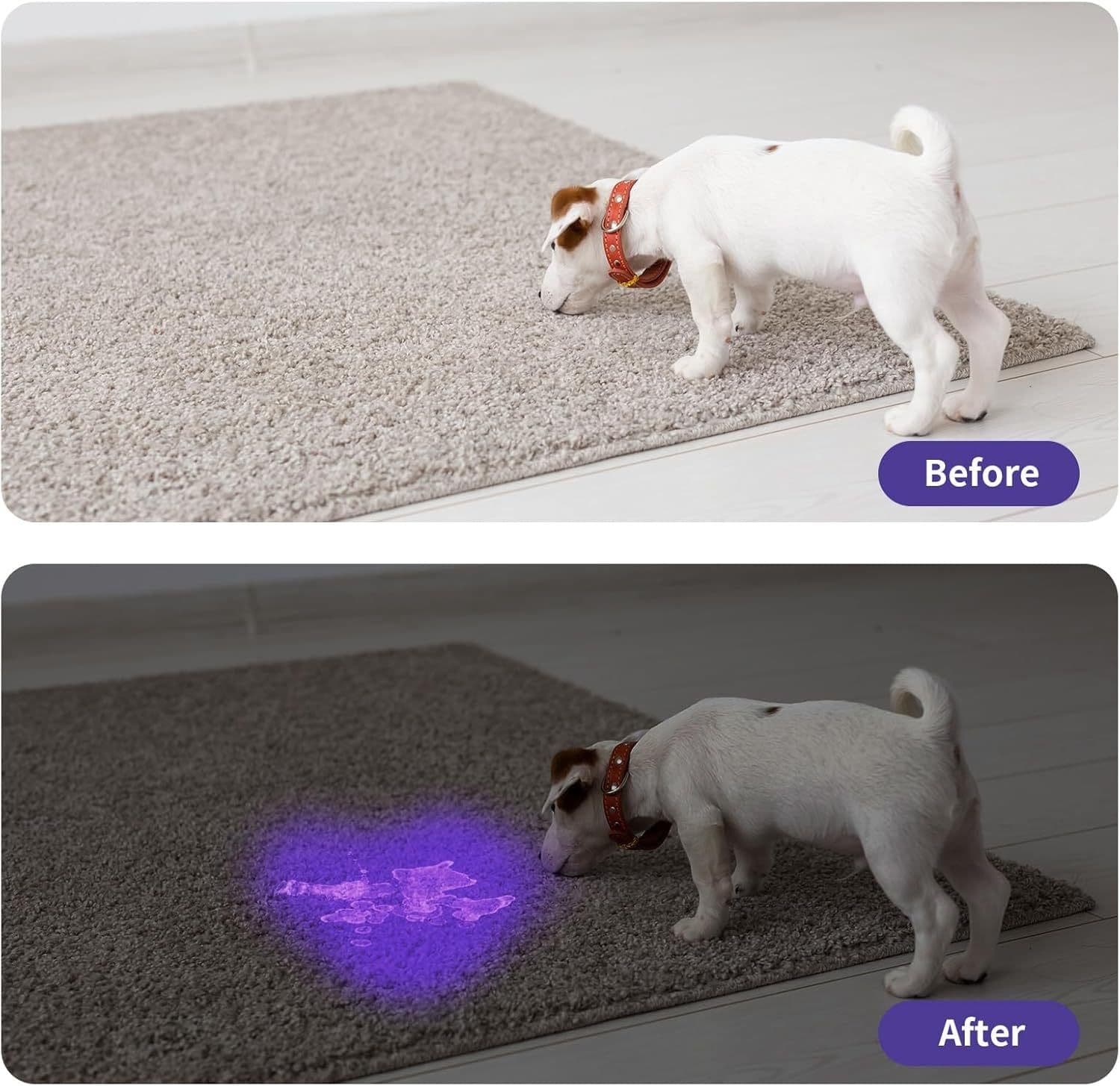 image-UV Flashlight LED Handheld Blacklight Flashlight Mini Light Torch Detector For Dog Pet Urine Stains Bed Bugs And Scorpions Batteries Not Included