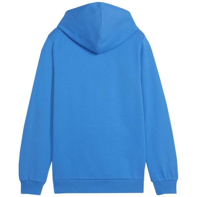 image-Puma Team Goal Casuals Hoddy Jr sweatshirt 658619 02