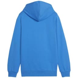 image-Puma Team Goal Casuals Hoddy Jr sweatshirt 658619 02