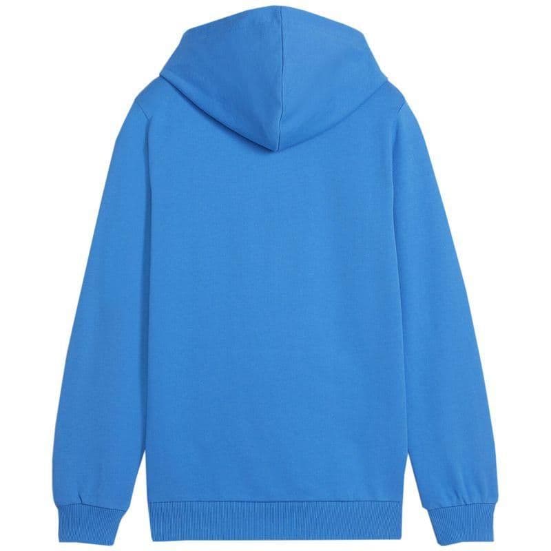 image-Puma Team Goal Casuals Hoddy Jr sweatshirt 658619 02