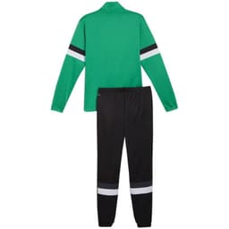 image-Puma Team Rise M tracksuit 658653 05