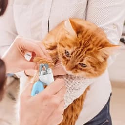 image-Cute Pets Nail Clippers Labor-Saving Dogs Nail Clipper Scissors Professional Pet Nail Clippers Cat Nail Trimmer Labor-Saving Pet Claw Grooming Scissors For Dogs Small Animals Paw Nail Trimmer