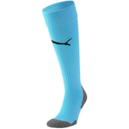 image-Puma Team Liga Socks Core 703441 40 football socks