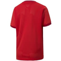 image-Puma teamGOAL 23 Jersey Jr T-shirt 704160 01