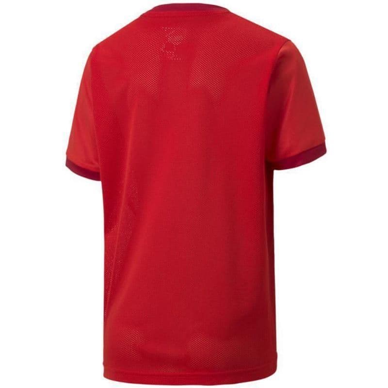 image-Puma teamGOAL 23 Jersey Jr T-shirt 704160 01