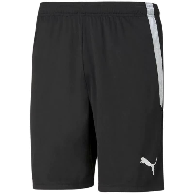 image-Puma teamLiga M 704924 03 shorts