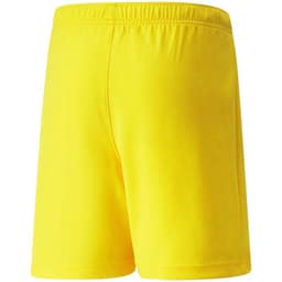 image-Puma teamRise Short Jr 704943 07