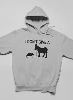 image-I Didn't Give Hoodie
