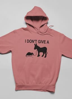 image-I Didn't Give Hoodie