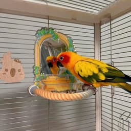 image-Gradient Colorful Bird Rope Perch Stand For Bird Cages Bendable Climbing Rope Cage Accessory Toy For Cockatiel Parakeet Sugar Glider