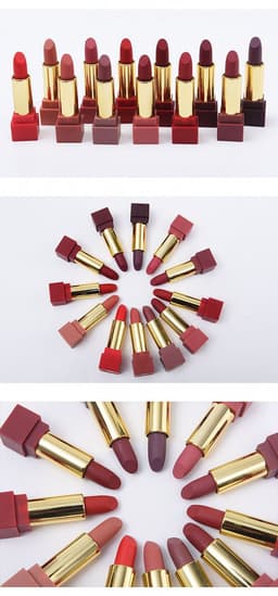 image-New set of box hard box 12 color square tube sexy red lipstick matte lipstick pumpkin matte brick red dirty orange