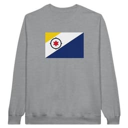 image-Drapeau des Pays-Bas caribéens - Sweat-shirt unisexe classique ras du
