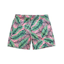 image-Chetstyle Men's Quick-Dry Beach Shorts with Palm Tree Print