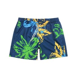image-Chetstyle Men's Quick-Dry Beach Shorts with Palm Tree Print