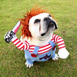 image-Pet Dog Costume Clothes Transforming Outfit for Small to Large Dogs