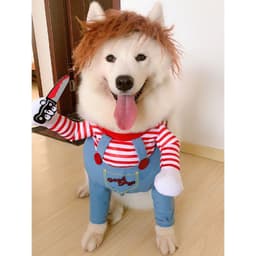 image-Pet Dog Costume Clothes Transforming Outfit for Small to Large Dogs