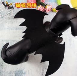 image-Pet Spider Costume with Bat Wings for Dogs and Cats