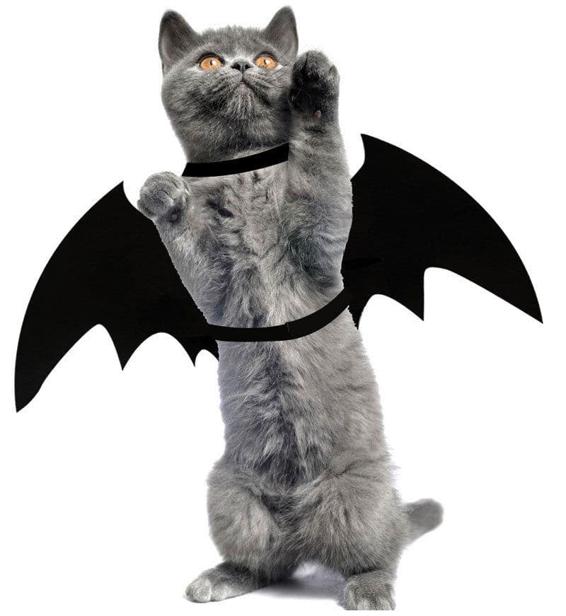 image-Pet Spider Costume with Bat Wings for Dogs and Cats
