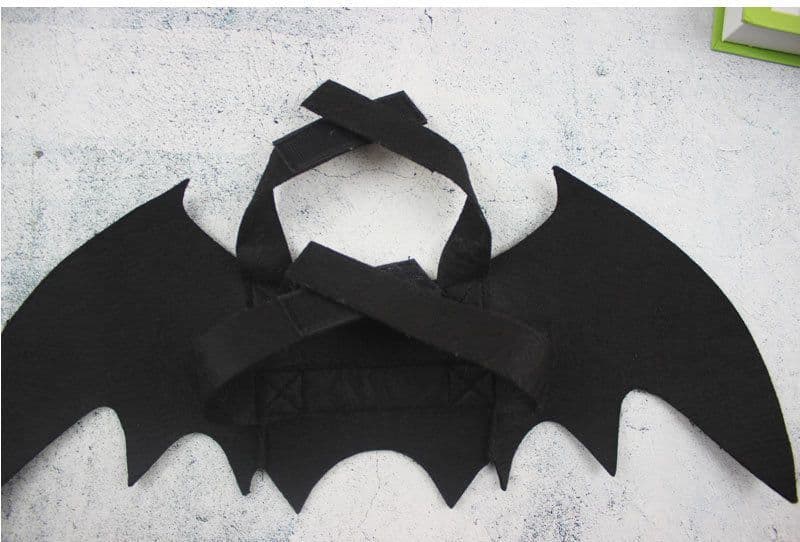 image-Pet Spider Costume with Bat Wings for Dogs and Cats
