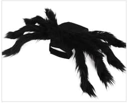 image-Pet Spider Costume with Bat Wings for Dogs and Cats