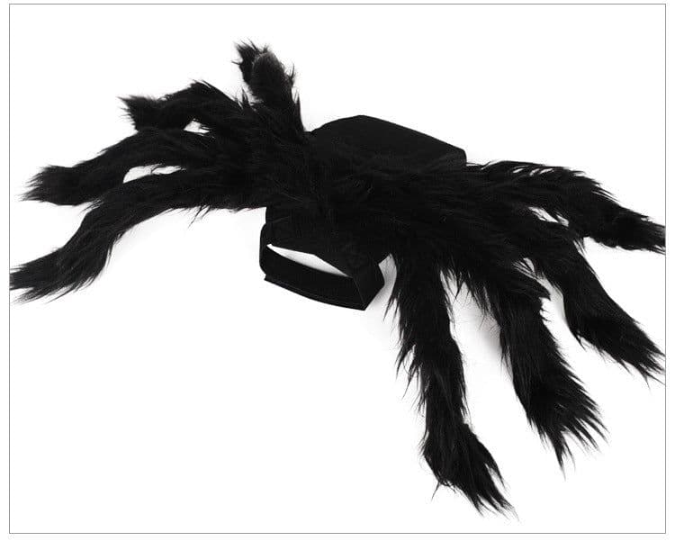 image-Pet Spider Costume with Bat Wings for Dogs and Cats