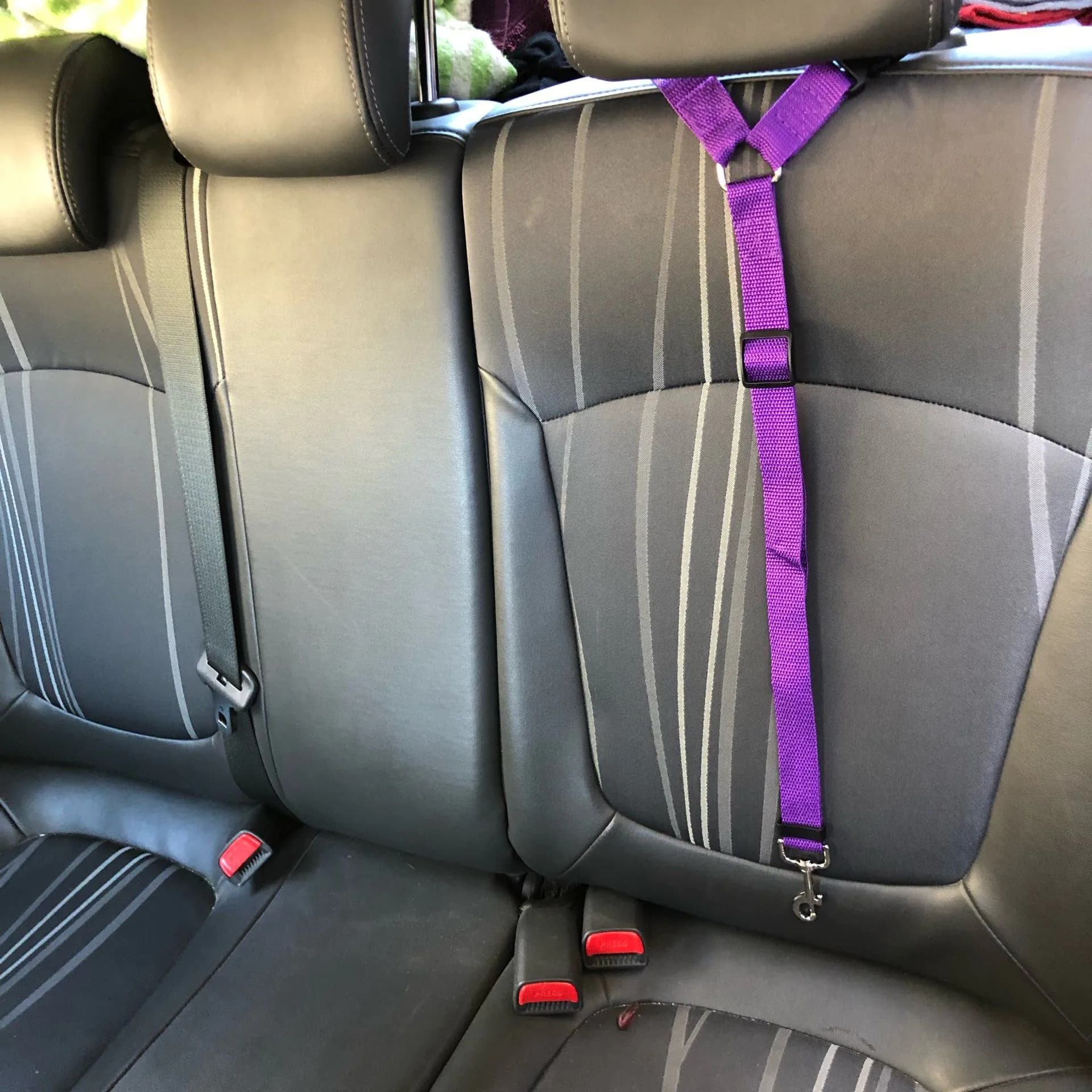 image-Pet Dog Cat Car Seat Belt Leash Adjustable Safety Harness Nylon