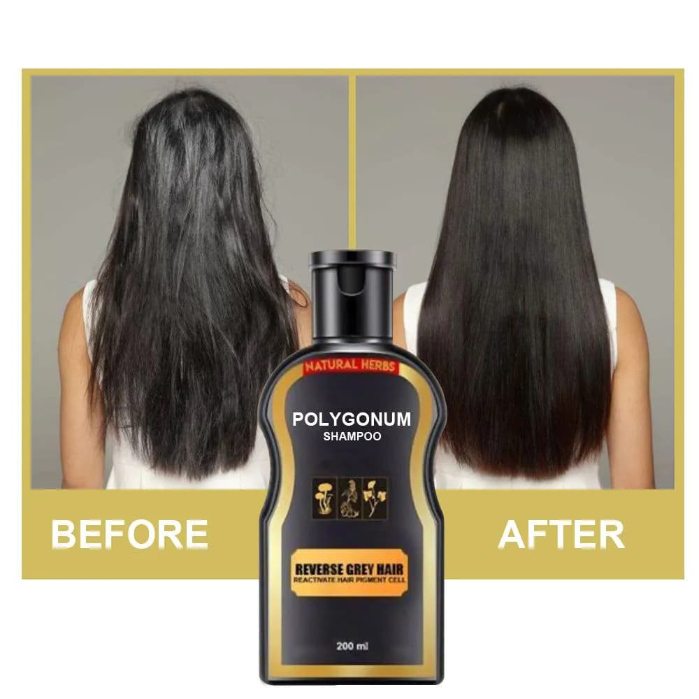 image-Natural Polygonum Multiflorum Black Hair Care Shampoo