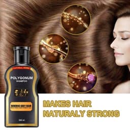 image-Natural Polygonum Multiflorum Black Hair Care Shampoo