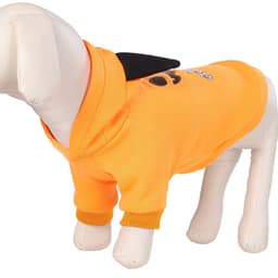 image-Pet Halloween Costume Cat Dog Two-Legged Holiday Clothes