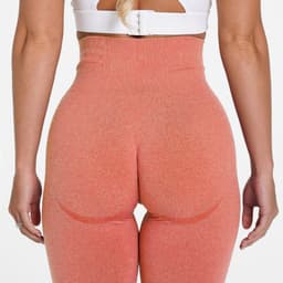 image-Women's High Waist Seamless Yoga Shorts Nylon Spandex Activewear
