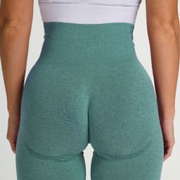 image-Women's High Waist Seamless Yoga Shorts Nylon Spandex Activewear