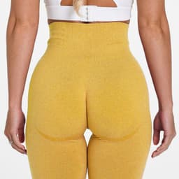 image-Women's High Waist Seamless Yoga Shorts Nylon Spandex Activewear