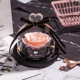 image-Preserved Rose Glass Cover with LED Lamp - Eternal Flower Gift