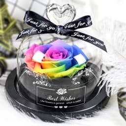 image-Preserved Rose Glass Cover with LED Lamp - Eternal Flower Gift