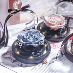 image-Preserved Rose Glass Cover with LED Lamp - Eternal Flower Gift