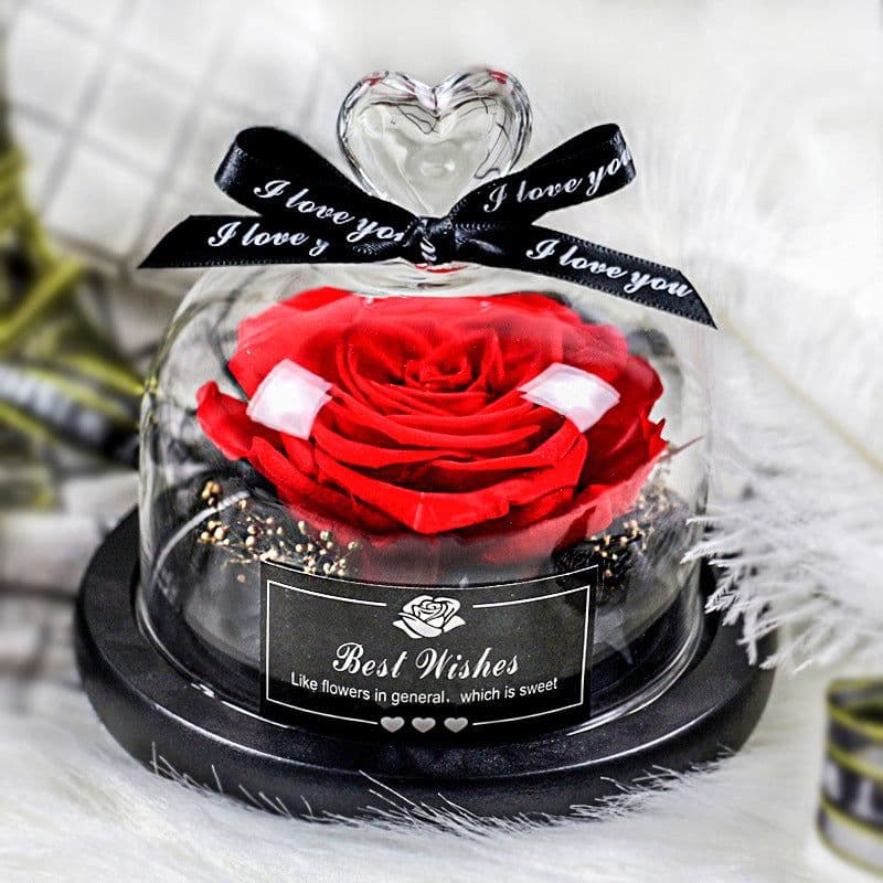 image-Preserved Rose Glass Cover with LED Lamp - Eternal Flower Gift