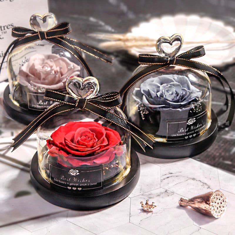 image-Preserved Rose Glass Cover with LED Lamp - Eternal Flower Gift