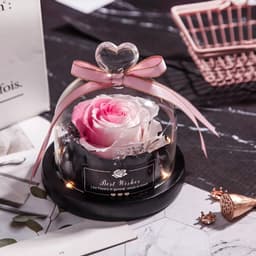 image-Preserved Rose Glass Cover with LED Lamp - Eternal Flower Gift