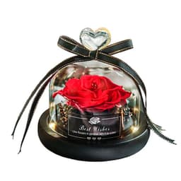 image-Preserved Rose Glass Cover with LED Lamp - Eternal Flower Gift