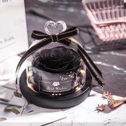 image-Preserved Rose Glass Cover with LED Lamp - Eternal Flower Gift