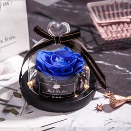 image-Preserved Rose Glass Cover with LED Lamp - Eternal Flower Gift