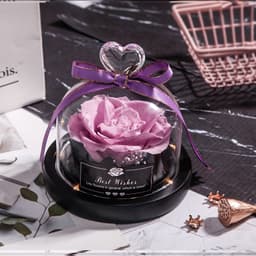 image-Preserved Rose Glass Cover with LED Lamp - Eternal Flower Gift